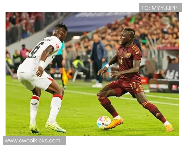 卡塔尔足球明星的辉煌征程与未来展望：从赛场到世界舞台的崛起